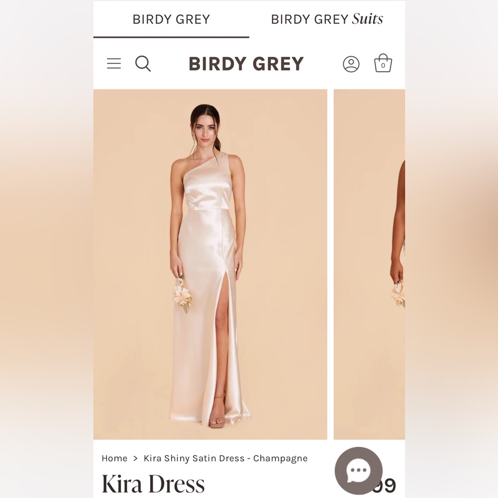 Birdy Grey - Kira Dress in Shiny Champagne